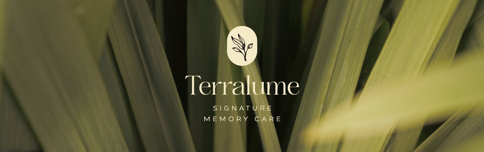 Terralume - Signature Memory Care