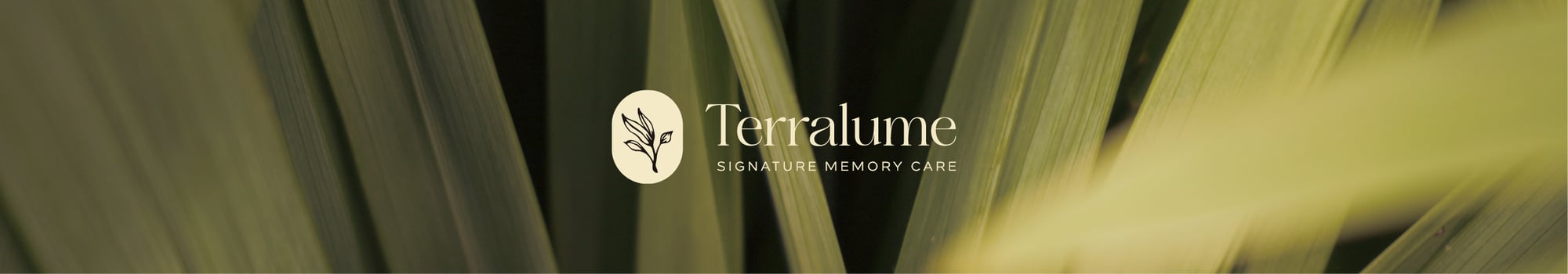 Terralume - Signature Memory Care
